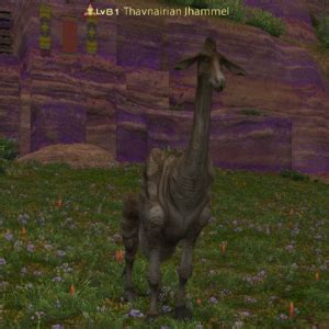 ffxiv jhammel ginger|thavnairian alumen ffxiv.